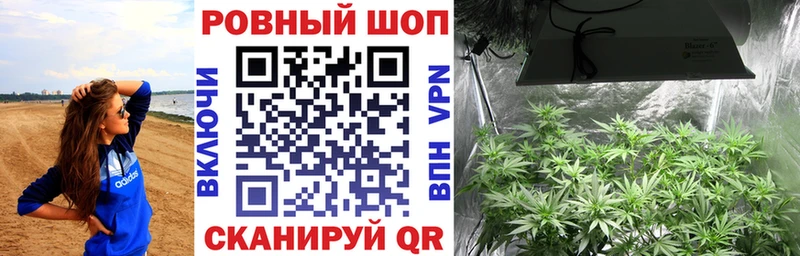 Где найти наркотики Любим НБОМе  APVP  АМФЕТАМИН  Мефедрон  ГАШИШ  Каннабис 