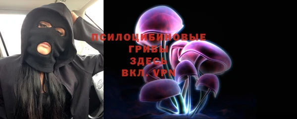 хмурый Алексеевка