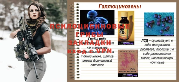 хмурый Алексеевка