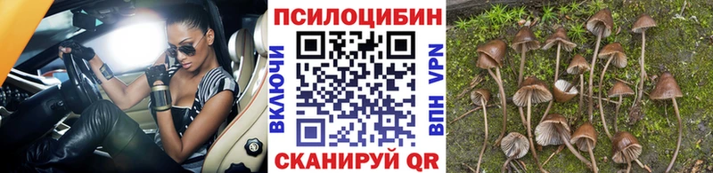 купить Любим Галлюциногенные грибы Magic Shrooms